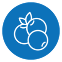 Blueberry 3 icon