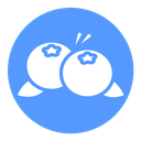 Blueberry icon