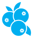 Blueberry icon (2) icon