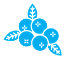 Blueberry icon