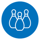 Bowling pins icon