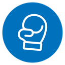 Boxing glove 2 icon