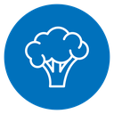Broccoli 3 icon