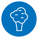Broccoli icon