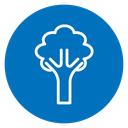 Broccoli icon