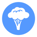 Broccoli icon