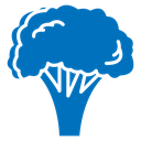 Broccoli icon