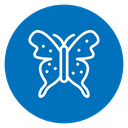 Butterfly icon