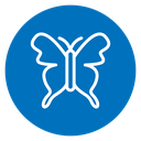Butterfly 2 icon
