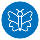 Butterfly icon