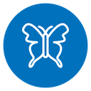 Butterfly Color Filled icon
