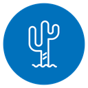Cactus 2 icon