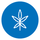 Cannabis 2 icon