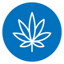 Cannabis Leaf Color Filled icon