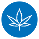 Cannabis Plant Leaf Color Filled icon