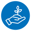 Care of plant icon