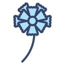 Carnation icon