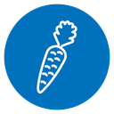 Carrot 2 icon