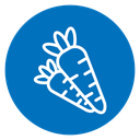 Carrot 6 icon