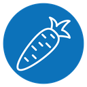 Carrot icon