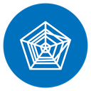 Chart-radar 4 icon