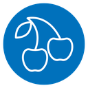 Cherry icon