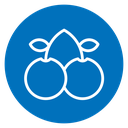 Cherry icon