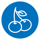 Cherry icon
