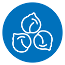 Chickpea icon