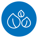 Chickpea icon
