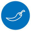 Chilli pepper icon