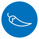 Chilli pepper icon