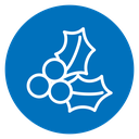 Christmas holly berry icon