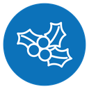 Christmas holly berry icon