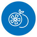 Citrus 4 icon