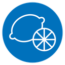 Citrus icon