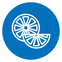 Citrus fruit icon