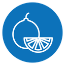 Citrus fruit icon