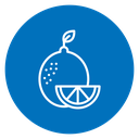 Citrus Fruit Slice icon