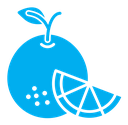 Citrus fruit icon