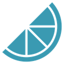Citrus slice 3 icon