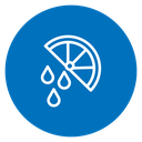 Citrus slice icon