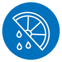 Citrus slice icon