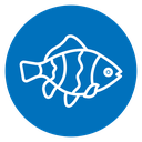 Clownfish icon