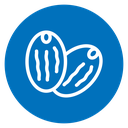 Cocoa Beans icon