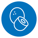 Coconut icon
