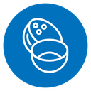 Coconut icon