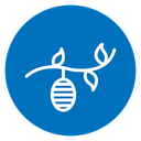 Cocoon 2 icon