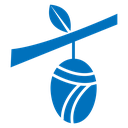 Cocoon icon