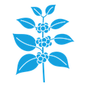 Coffee plant icon